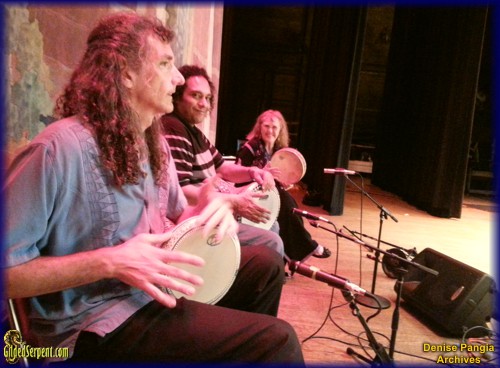 Musicians
